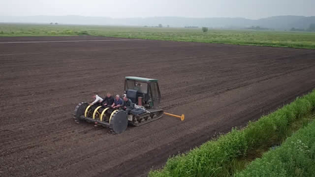 Planting Commercial Willow Beds